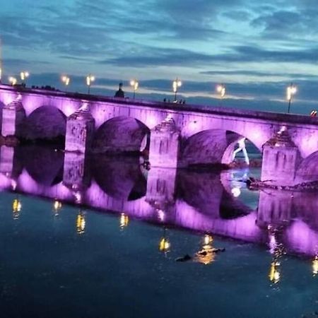 شقة Charme De Loire Vue Sur La Loire - Charm Of Loire Overlooking Loire بلْوا المظهر الخارجي الصورة