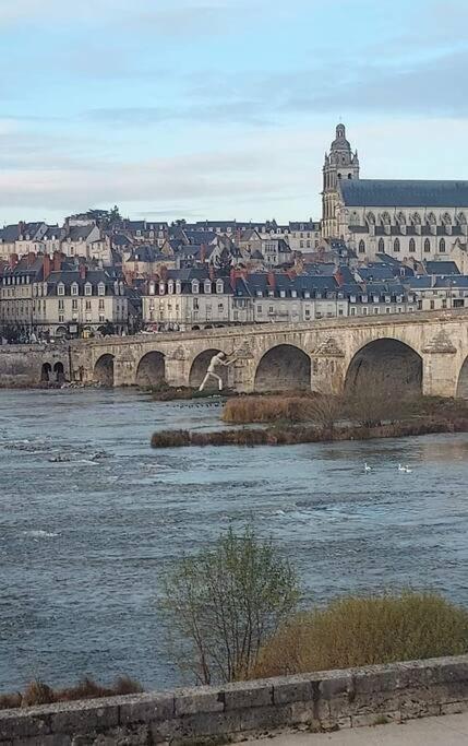 شقة Charme De Loire Vue Sur La Loire - Charm Of Loire Overlooking Loire بلْوا المظهر الخارجي الصورة