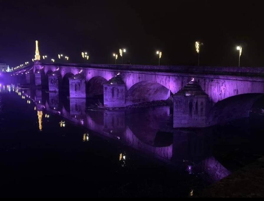 شقة Charme De Loire Vue Sur La Loire - Charm Of Loire Overlooking Loire بلْوا المظهر الخارجي الصورة