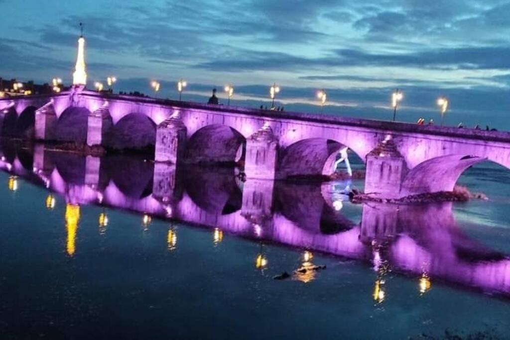 شقة Charme De Loire Vue Sur La Loire - Charm Of Loire Overlooking Loire بلْوا المظهر الخارجي الصورة